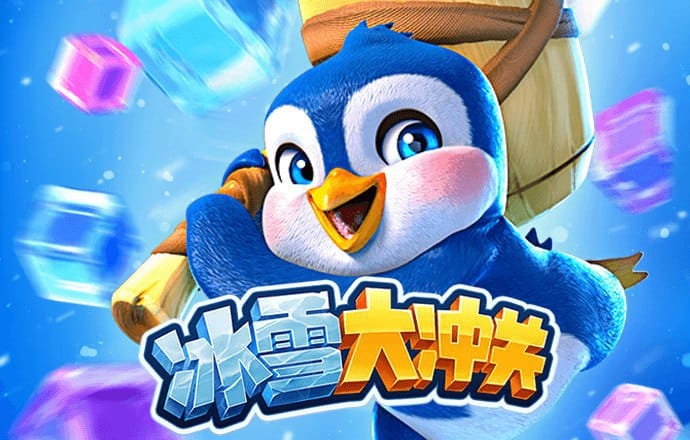 c7官方网站登录